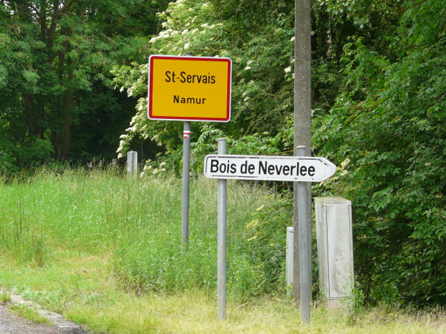P1060445stservais_g