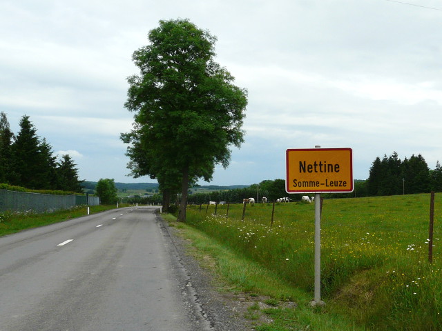 P1060466nettine_g