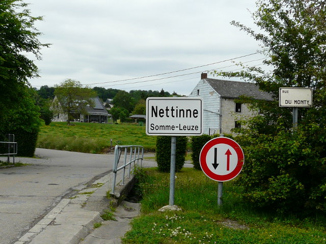 P1060468nettinne_w