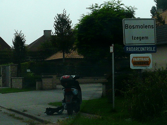 P1100116bosmolens_w
