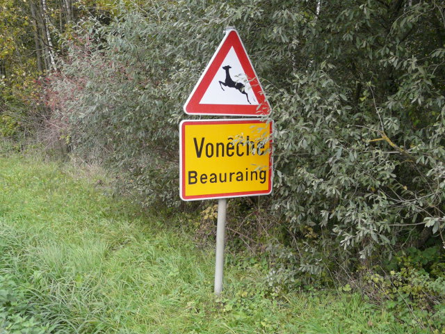 P1100824voneche_g