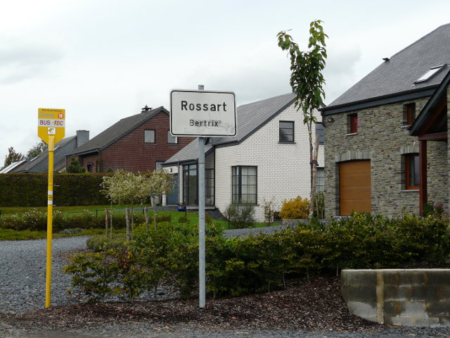 P1100845rossart_w