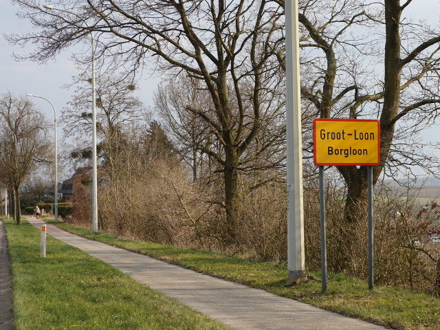 DSC06513grootloon_g