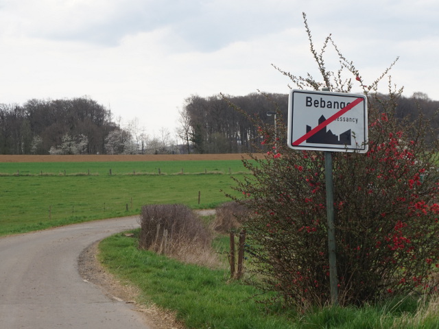DSC07923bebange_e