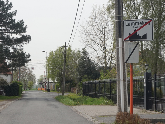DSC08115lammeken_e