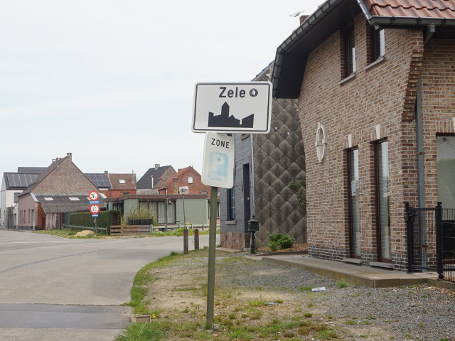 DSC08121zele_w