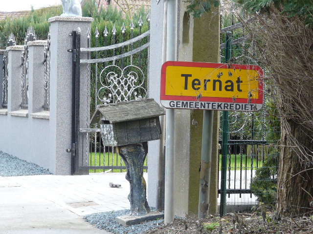 P1130054ternat_g