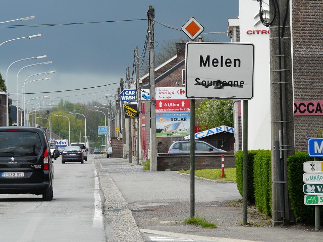P1150060melen_w