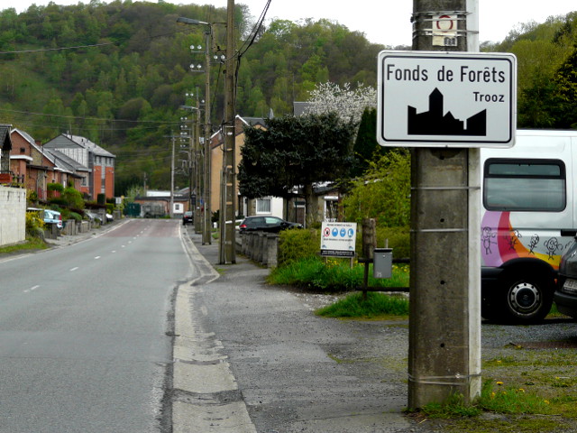 P1150072fondsdeforets_w