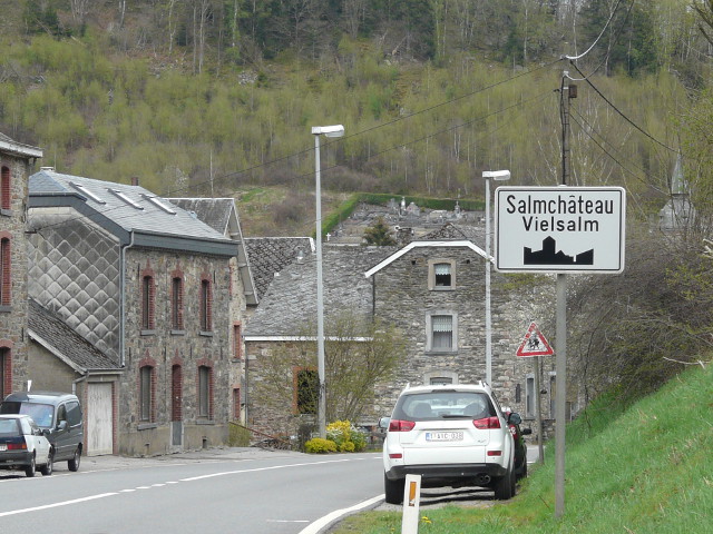 P1150114salmchateau_w