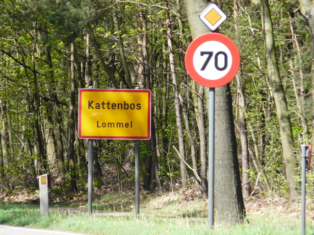 P1150324kattenbos_g