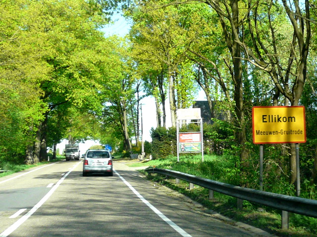 P1150348ellikom_g