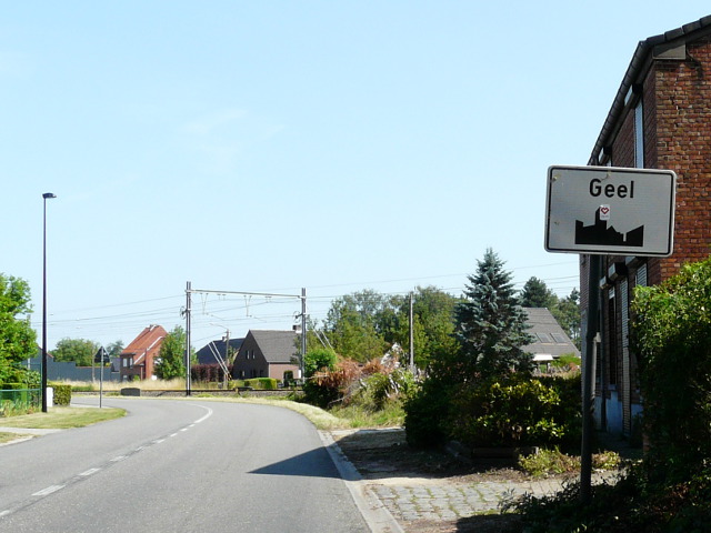 P1170711geel_w