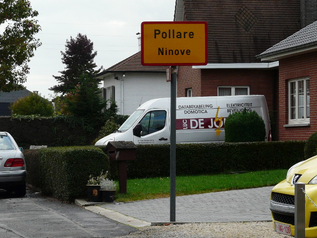 P1190986pollare_g
