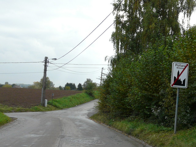 P1190989pollare_e
