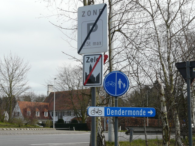 P1210835zele_e