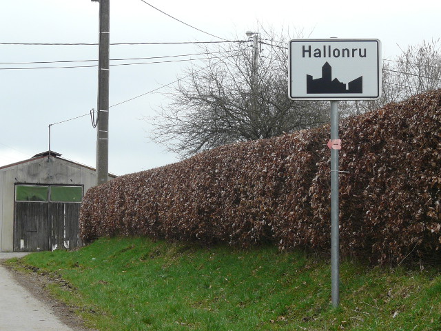 P1230889hallonru_w