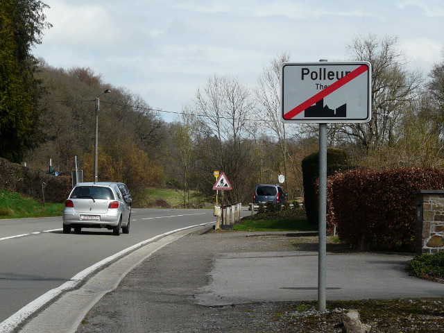 P1230928polleur_e
