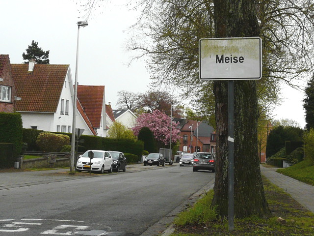P1240291meise_w