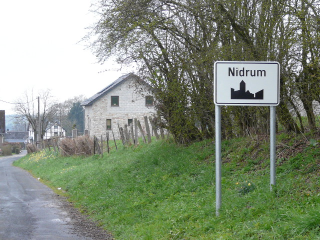P1240428nidrum_w