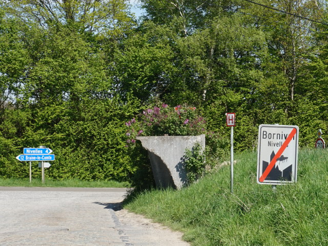 DSC08202bornival_e