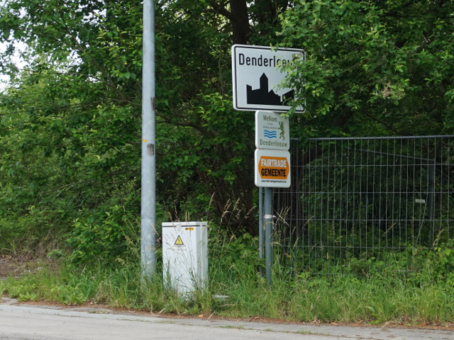 DSC08658denderleeuw_w