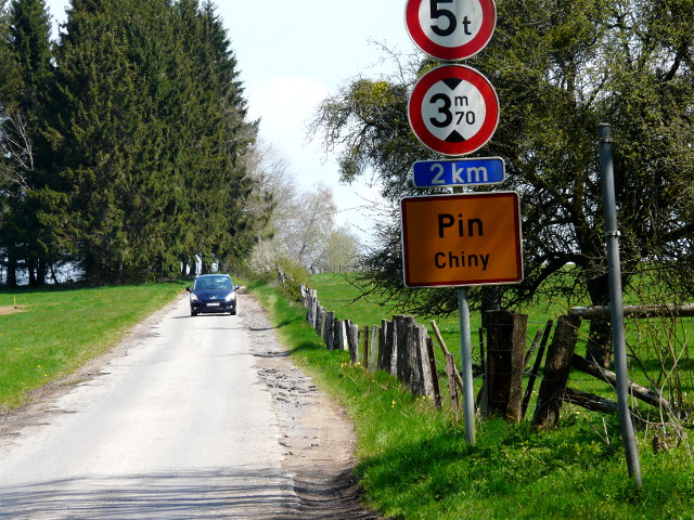 P1240553pin_g