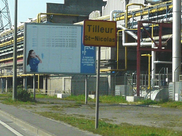 P1240648tilleur_g