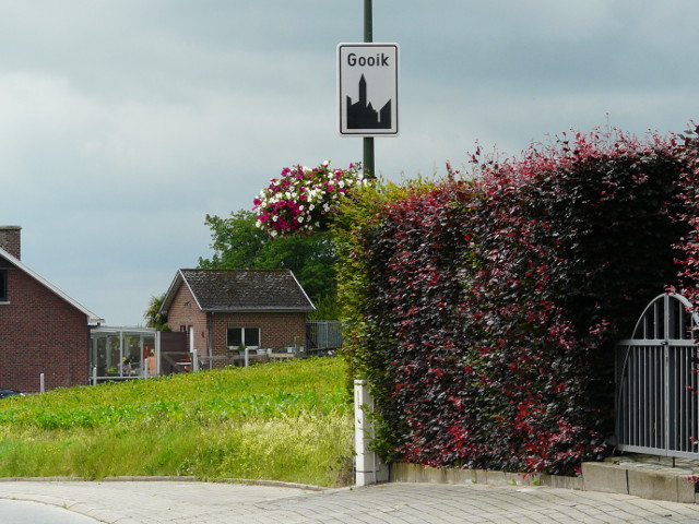 P1250179gooik_w