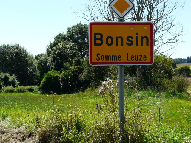 P1260987bonsin_g