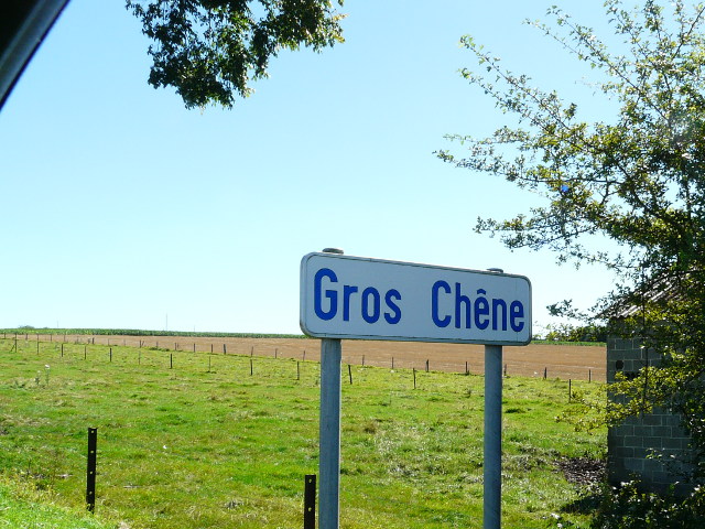 P1260994groschene_g