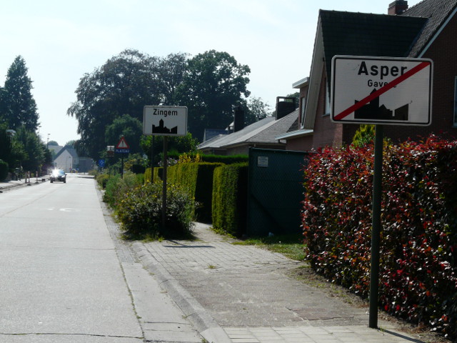 P1270428asper_e