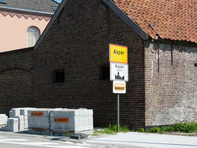 P1270429asper_gw