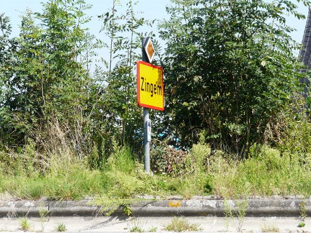 P1270431zingem_g