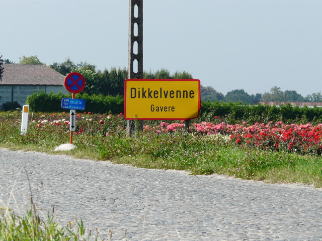 P1270452dikkelvenne_g