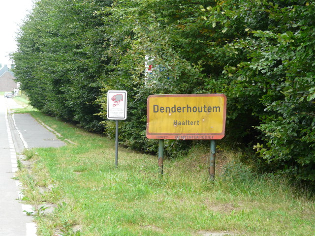P1270491denderhoutem_g