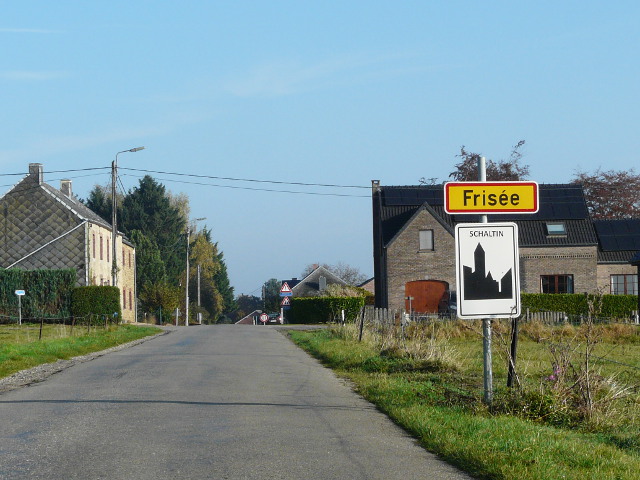 P1290357frisee_g
