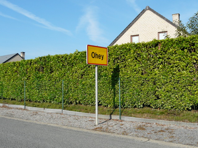 P1290368ohey_g