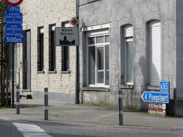 P1300710mesen_w