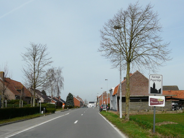 P1300766haringe_w