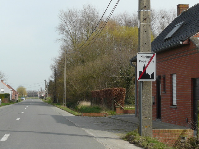 P1300767haringe_e