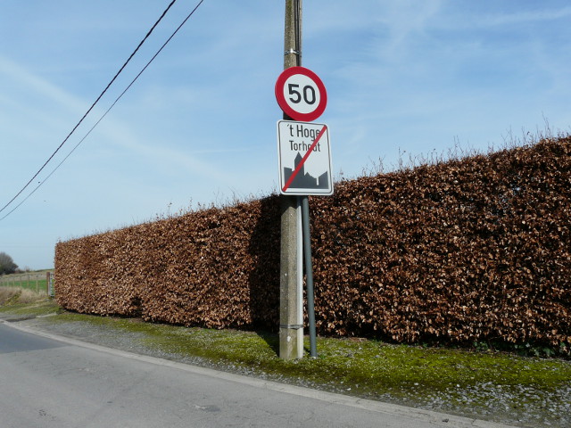 P1300832thoge_e
