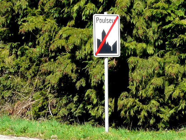 P1310034poulseur_e