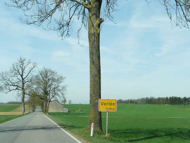 P1310083verlee_g