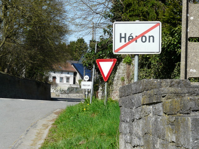 P1310109heron_e