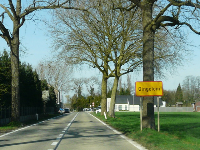 P1310139gingelom_g