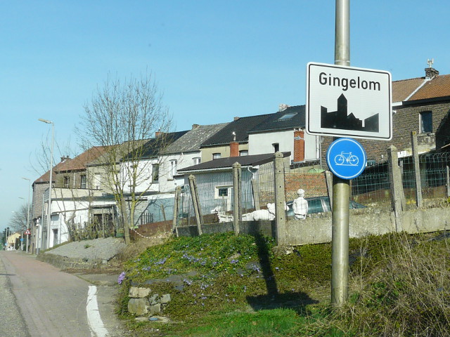 P1310140gingelom_w