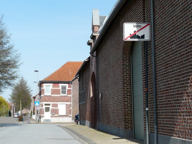 P1310144velm_e