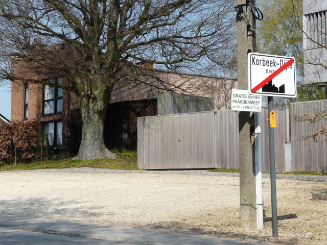P1310235korbeekdijle_e