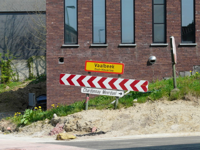 P1310259vaalbeek_g